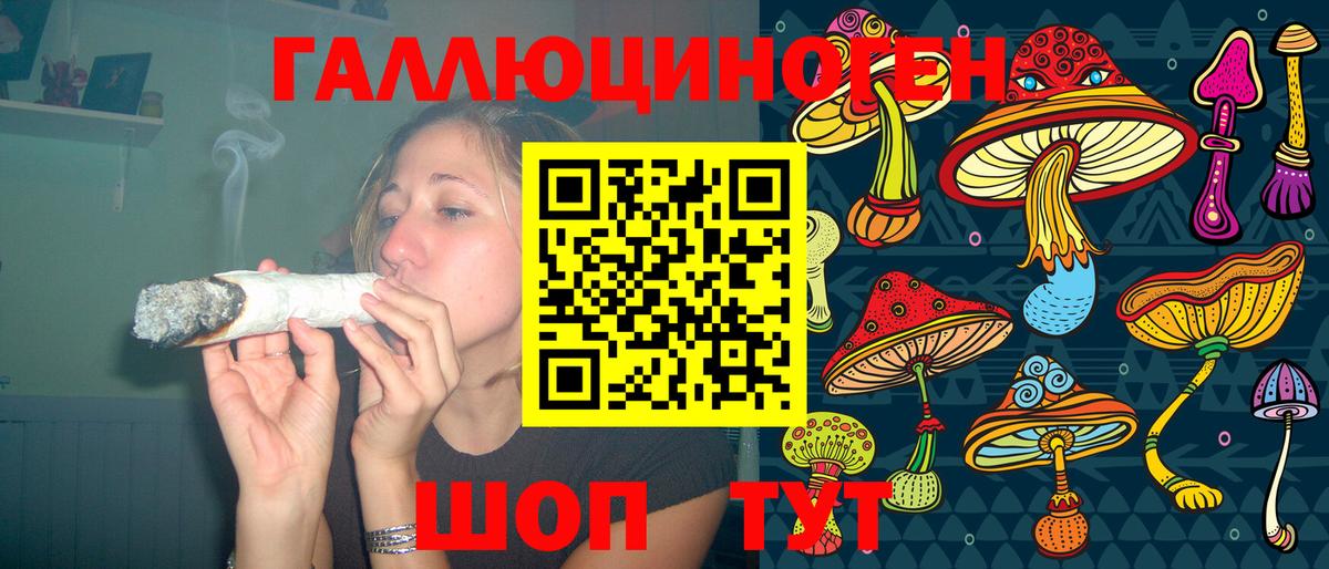 Кохма  Псилоцибиновые грибы прущие грибы  Вход с VPN  Псилоцибиновые грибы Cubensis 