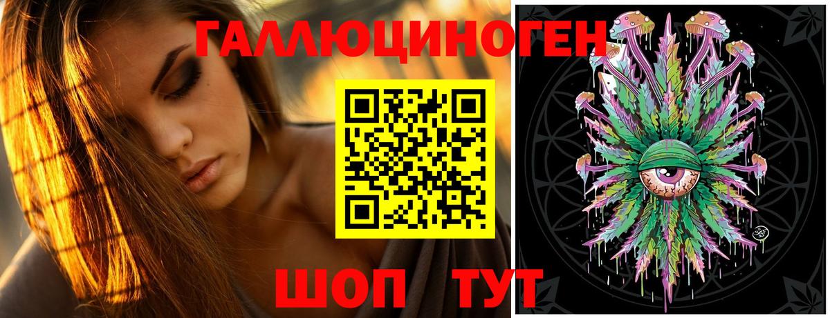 Галлюциногенные грибы Psilocybe Кохма